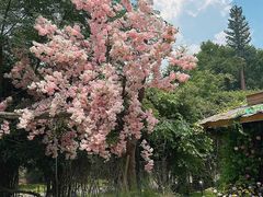 -HERRE·FARM 赫尔露营农场·团建聚会包场