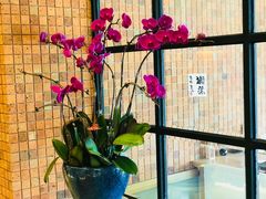 -吟松日式料理(莘庄店)