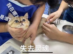 -芭比堂动物医院·心脏专科·夜诊·吉雅分院