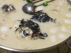 -丁老爷子苏香圆