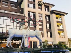 -鹭江潮餐厅•福建菜(鹭江佲家酒店)