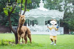 -韩国童感TOUCH PHOTO儿童摄影(朝阳分店)