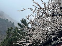 -少华山国家森林公园