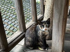 -百花人家(清水镇店)