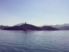 -望湖烤鱼