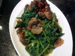 -睿柏云酒店-餐厅