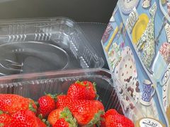 -刘记淮南牛肉汤馆(柘塘店)