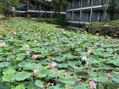 -绍兴鉴湖君澜大酒店