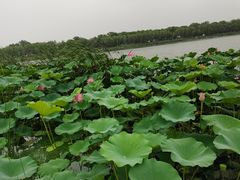 -素心小筑(后沙裕镇店)