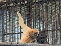 -昆明动物园
