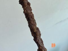-北京稻香村(第十一店)
