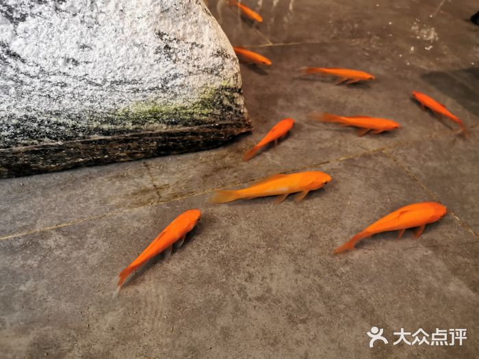 楚禾宴·家宴(光谷大道店)图片