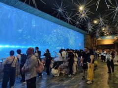 -华夏文旅海洋公园