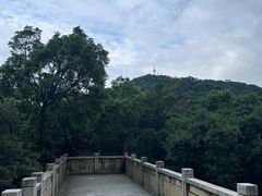 -广州市帽峰山景区