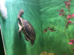 -常州海昌海洋探索馆