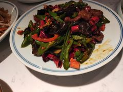 -大榕树下顺德菜(融创茂店)