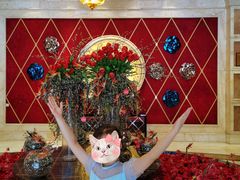 -芭菲盛宴·环球美食(北城国际店)