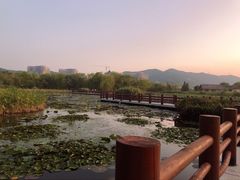-长兴太湖图影湿地文化园