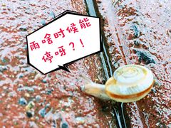 -鸿记煌三汁焖锅