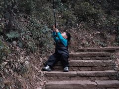 -杭州半山国家森林公园