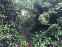 iphone_upload_pic-亮河湾山庄