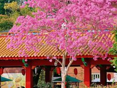 -天竺岩寺
