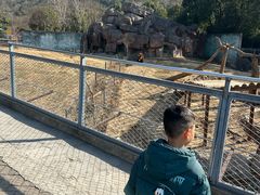 -无锡动物园·太湖欢乐园