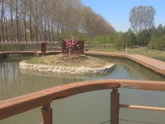 -东郊湿地公园