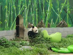 -南昌动物园