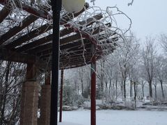 -南开大学滨海学院