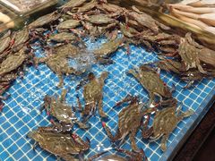 -连鹭海鲜·海肠捞饭·海胆饭(星海店)