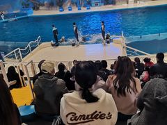 -泉城欧乐堡海洋极地世界