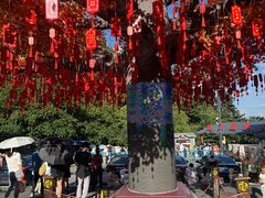 -大芦花风景区