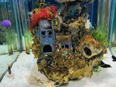 -太平洋海底世界