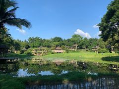 -四季酒店下午茶