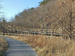 -棒棰岛宾馆景区