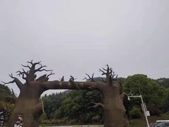 -梅岭月亮湾山体公园