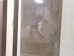 -东方动物医院·宠保定点·骨科·转诊中心(春城路·昆明站分院)