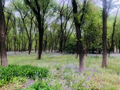 -北京奥林匹克公园