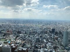 -东京都厅舍