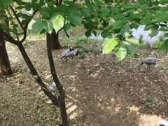 -无锡动物园·太湖欢乐园