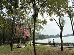 -南国桃园旅游度假区