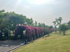 -广富林郊野公园