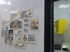 -瑞鹏瑞爱宠物医院·全科·猫科·血液透析中心(龙头寺店)