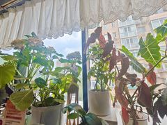 -懒人盐府人家(航天桥店)