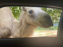 -杭州野生动物世界