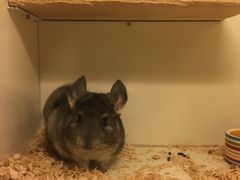 -龙猫仔乐园(惠福东路店)