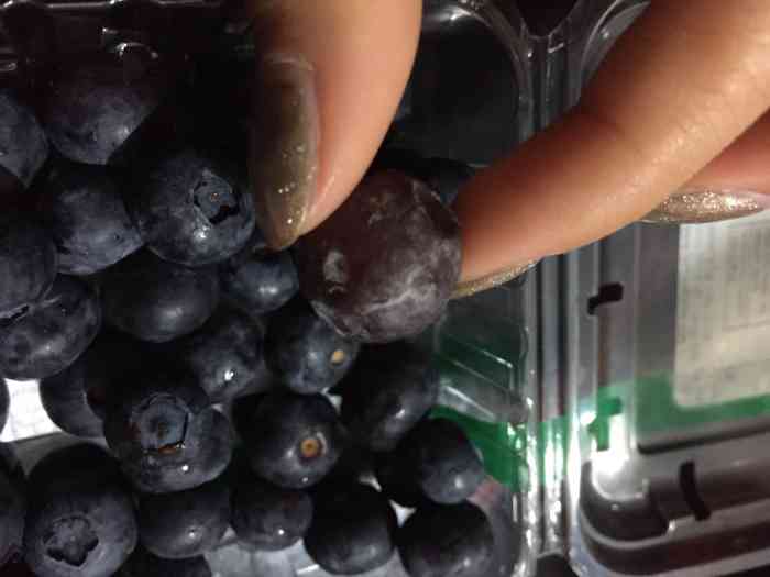 打分 前面和闺蜜去买了两盒蓝莓,结果回家一看有一半竟然发霉了!