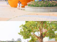 -凤岭儿童公园