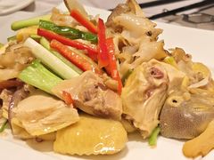 迎悦特色海螺片捞鸡(半只)-迎悦轩(维景湾店)